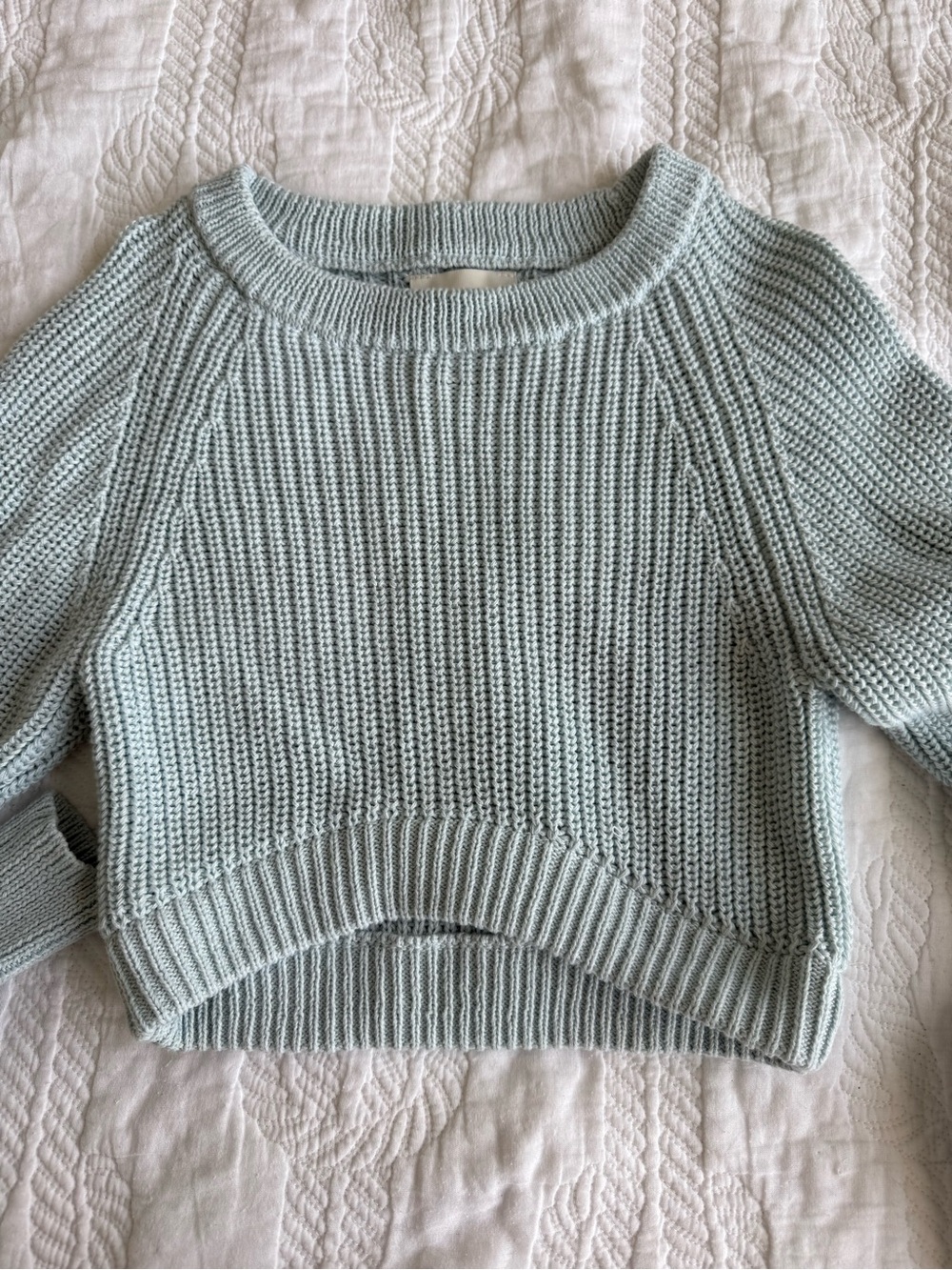Freshman Pale Blue Cropped Crewneck Sweater